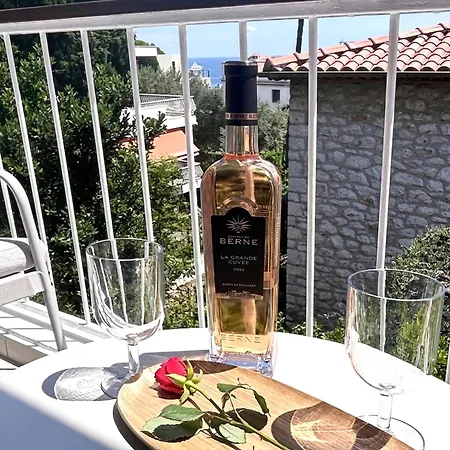 Vue Terrasse Cap Ferrat Climatise Plages *