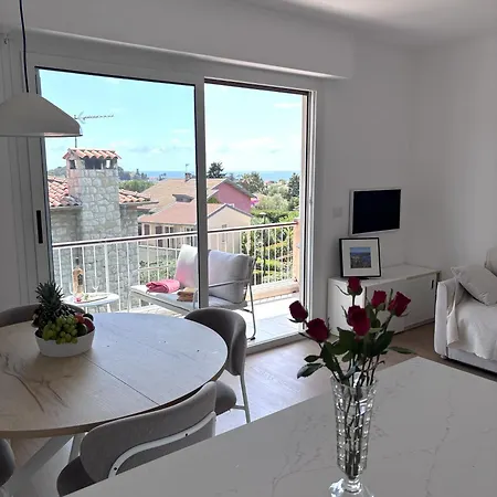 Vue Terrasse Cap Ferrat Climatisé Plages Appartement